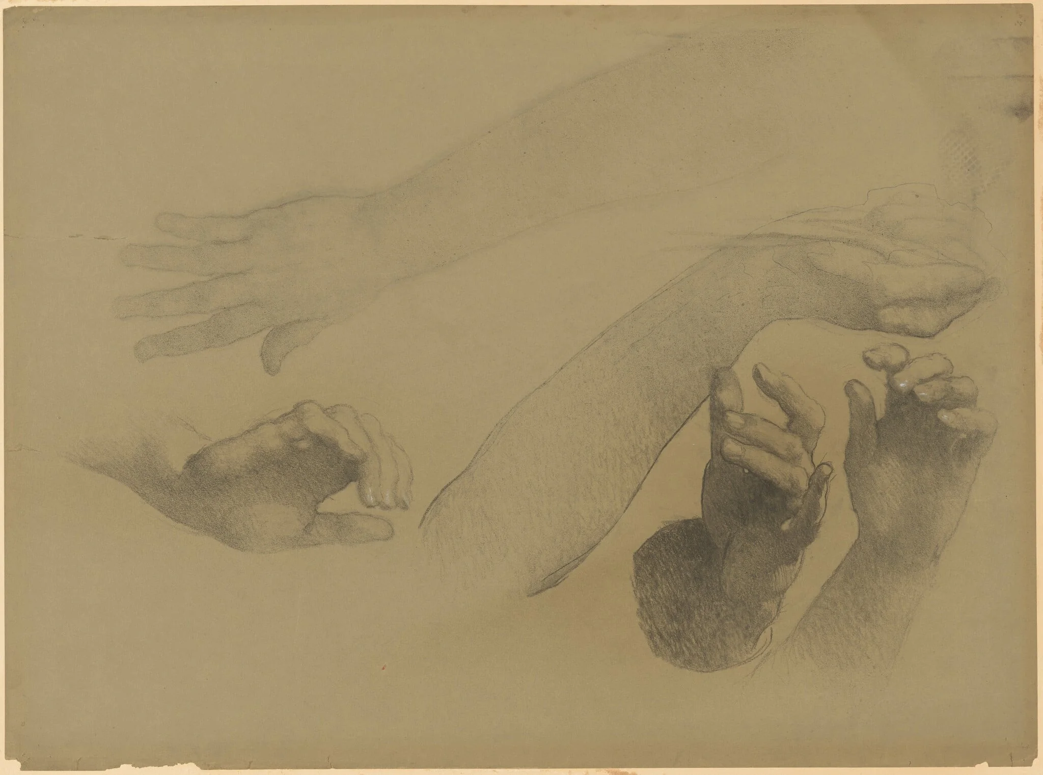Study of Hands