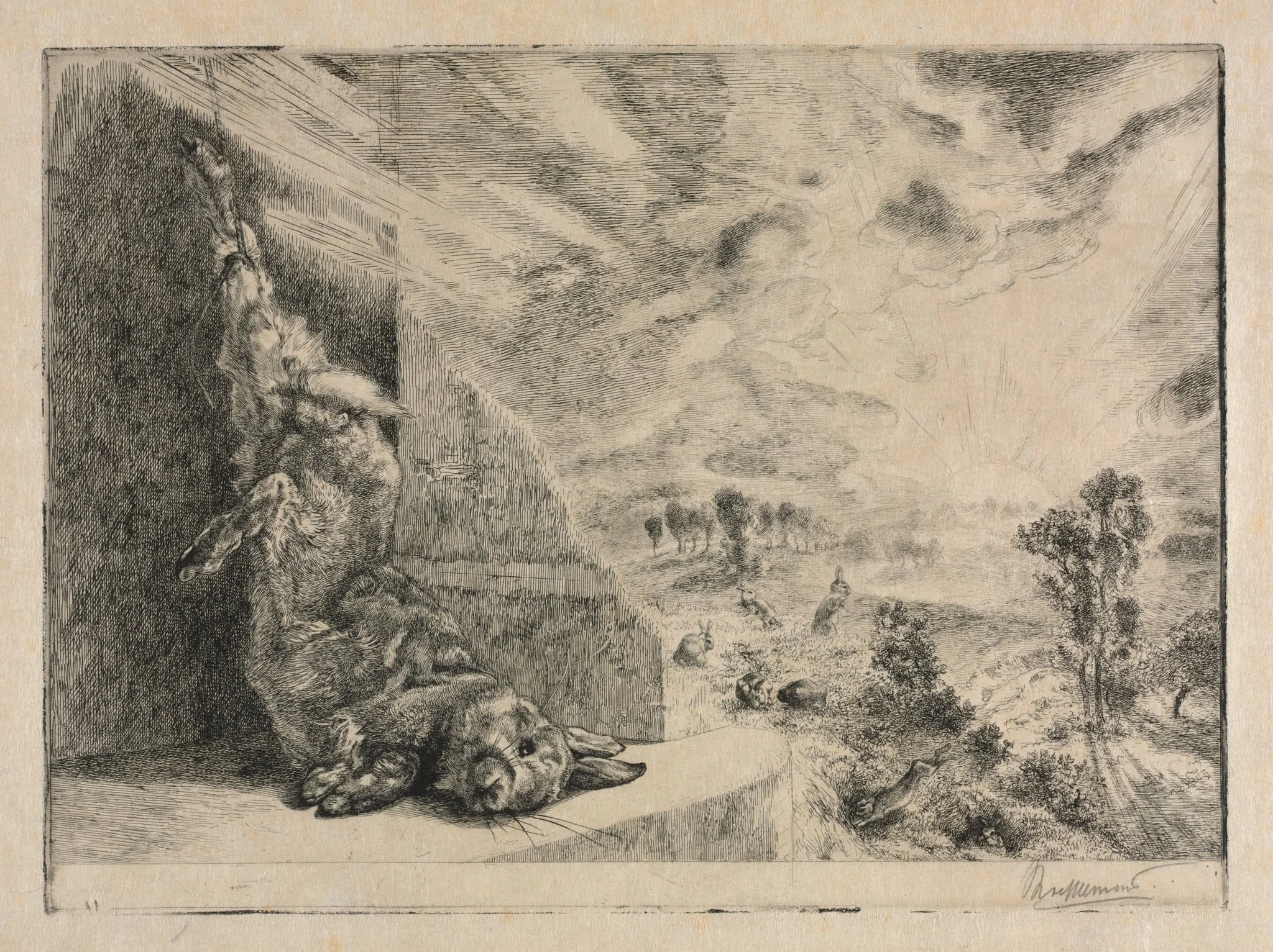 The Wild Rabbit, by Félix Bracquemond, 1891