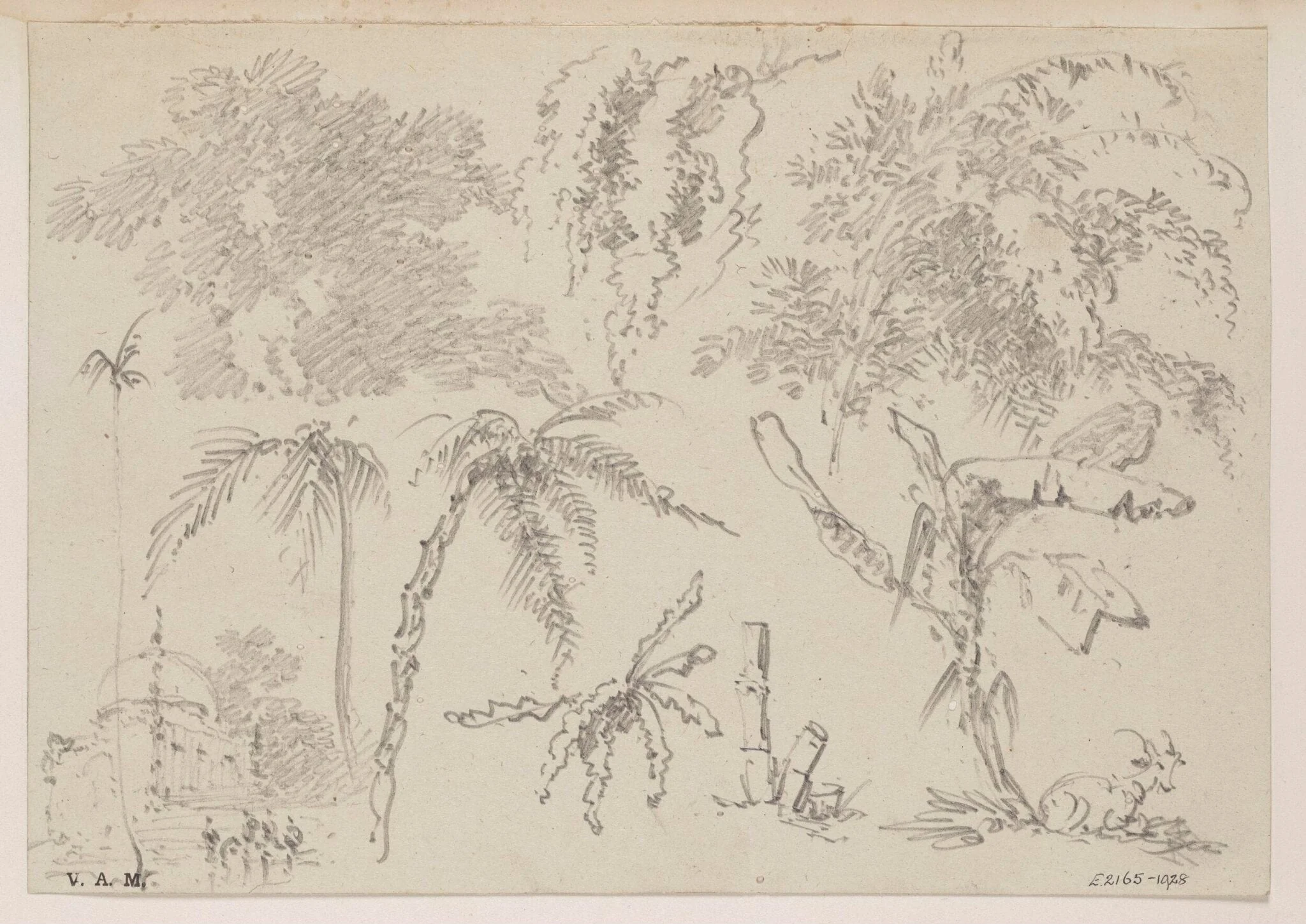 Studies of palms and other foliage, with a domed tomb and a goat, by George Chinnery, 16
