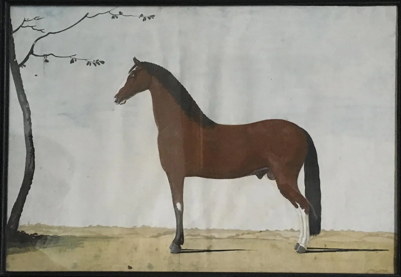 Portræt af en brun hingst med hvid blis og hvide sokker på bagbenene, by Unknown, unspecified, 1803