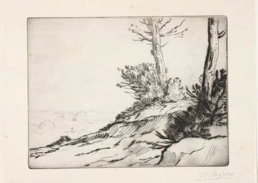 La butte aux broussailles