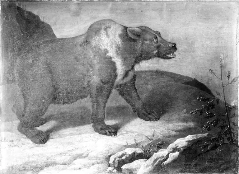 A Bear in a Winter Landscape