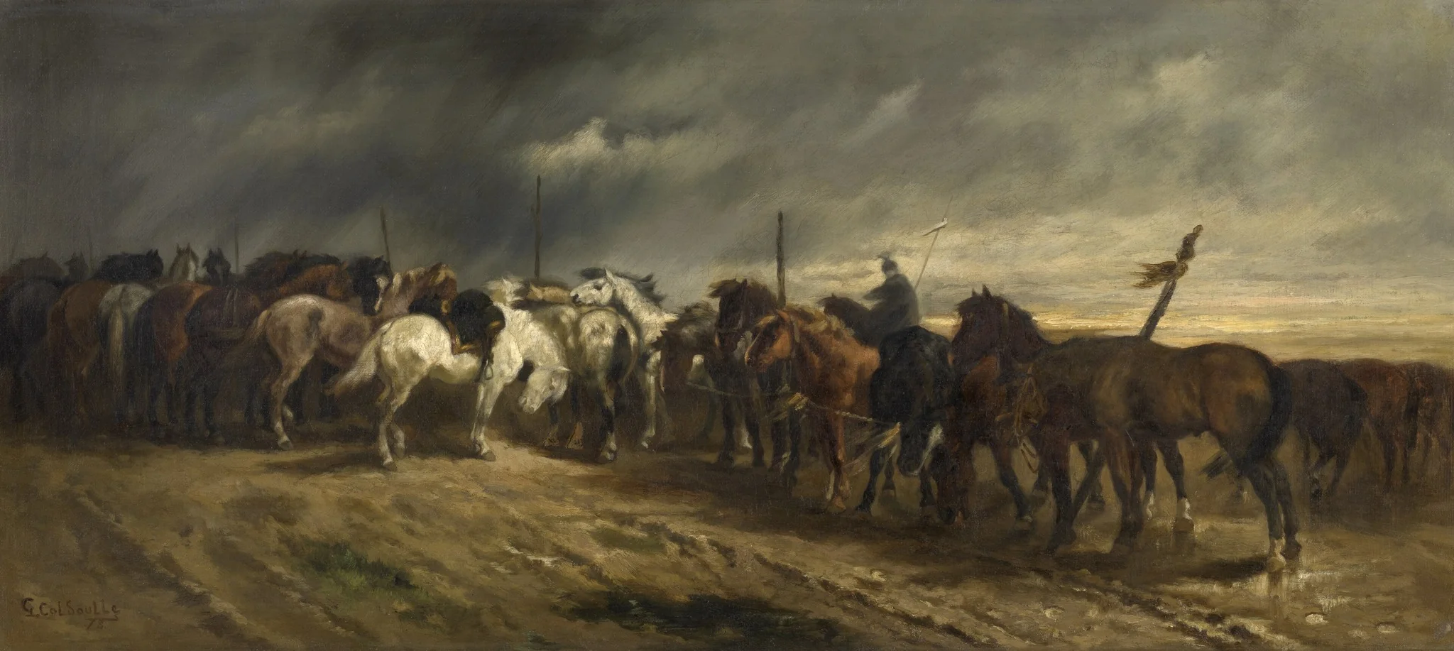 Horses