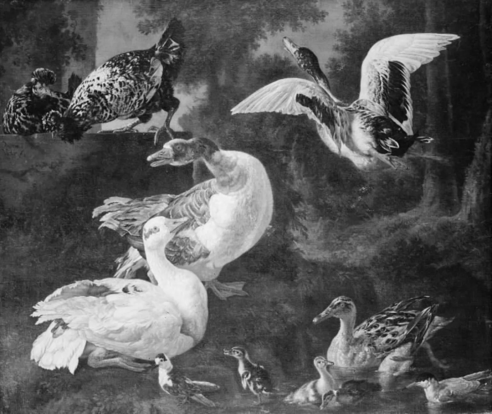 Poultry, by Unknown, 1750