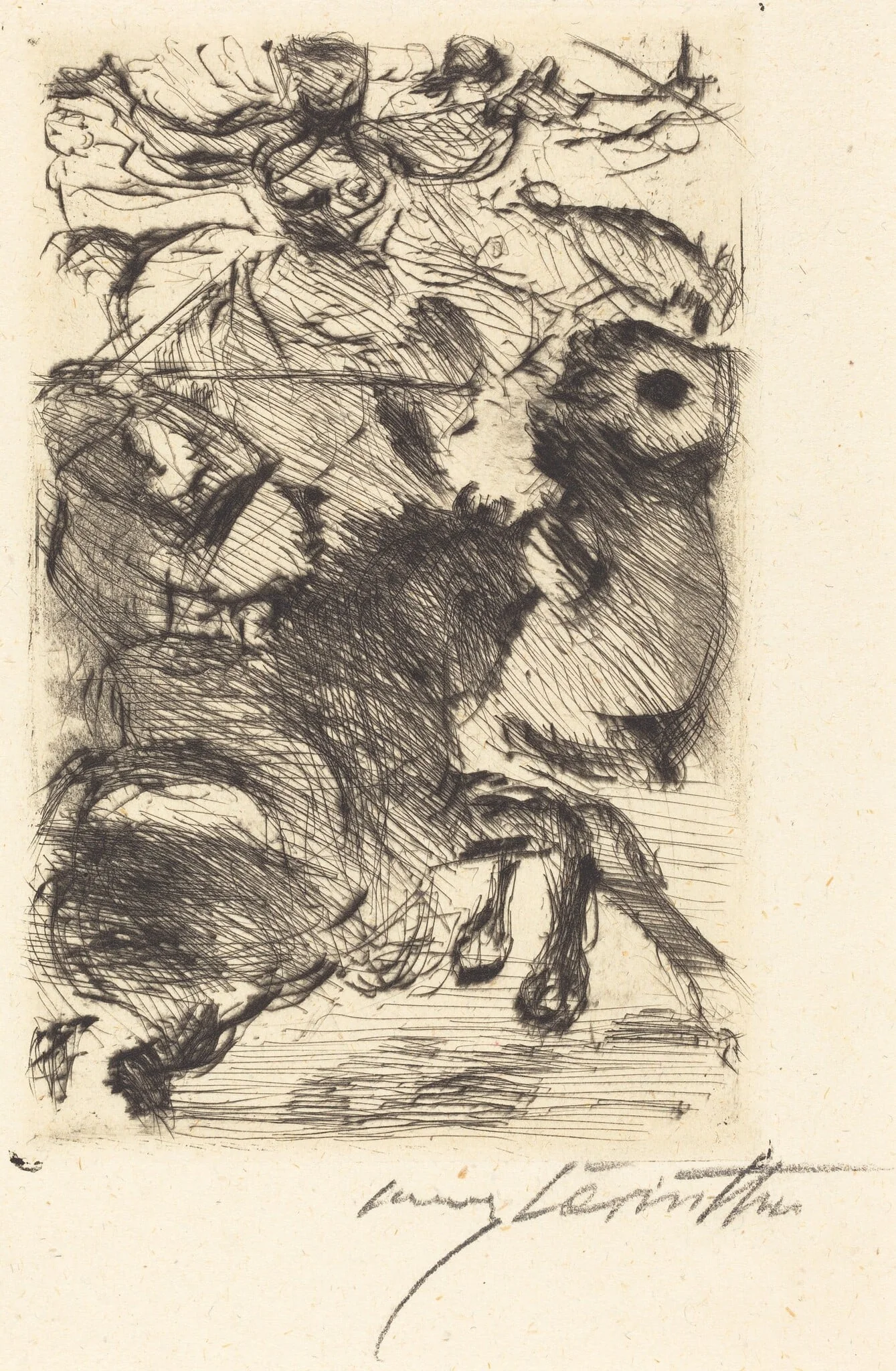 Adhba die Kamelin (Adhba the Camel)
