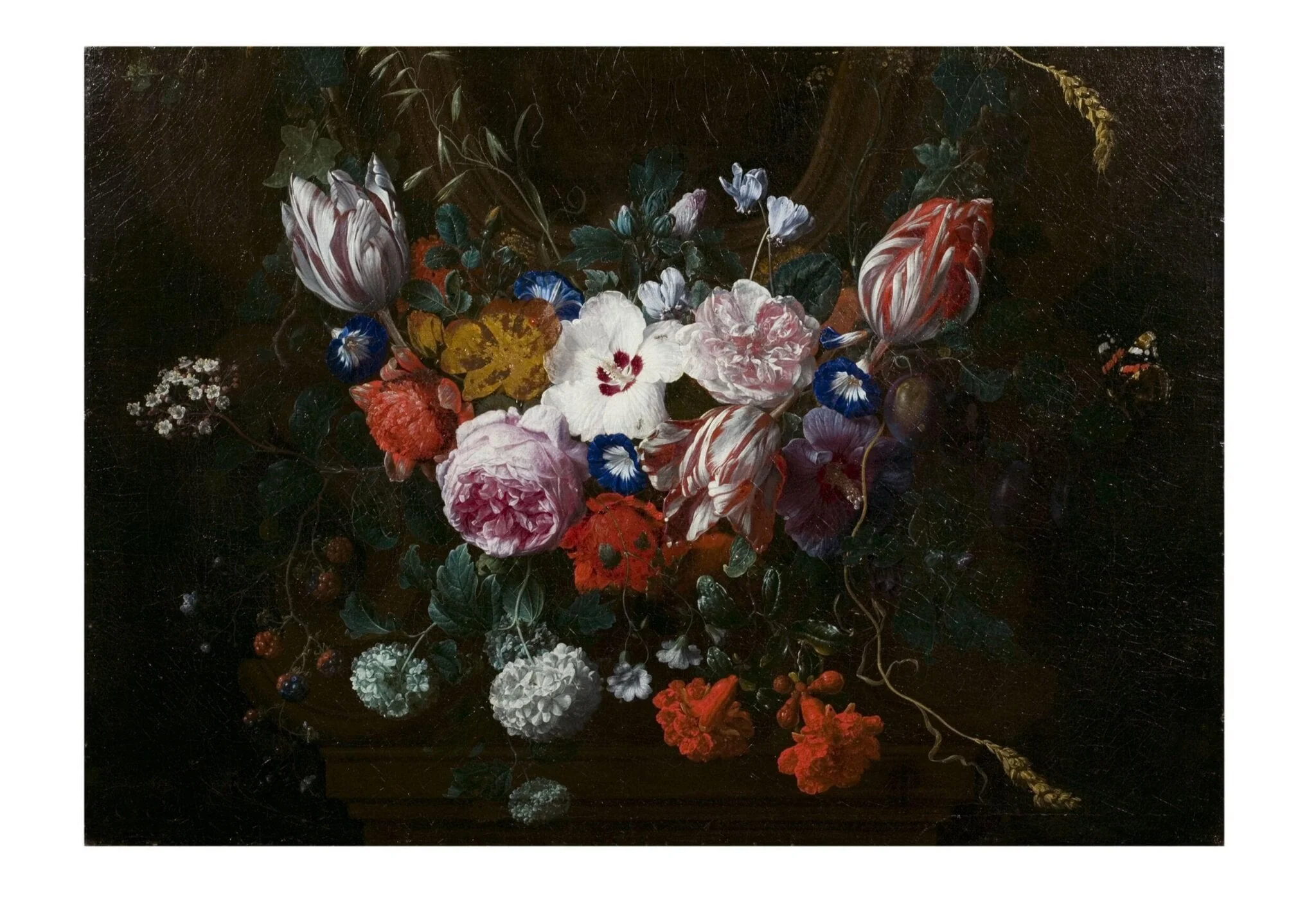 Flowers beneath a Cartouche