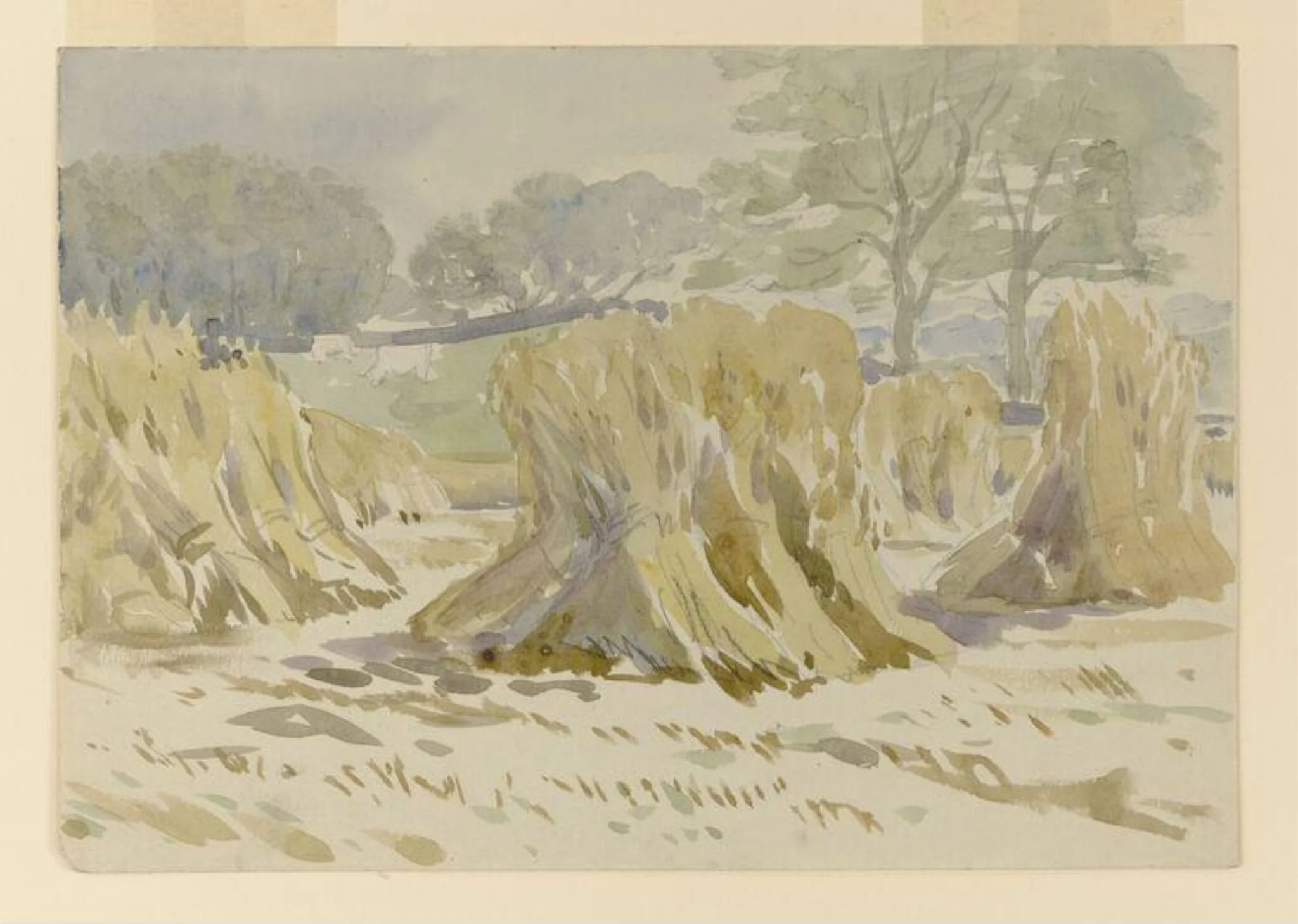 Sheaves of corn, with trees in the distance