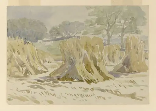 Sheaves of corn, with trees in the distance