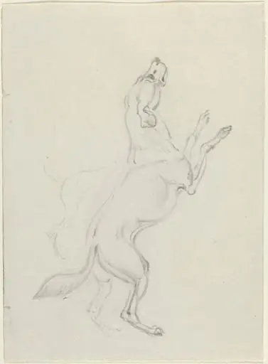 A Hound Jumping