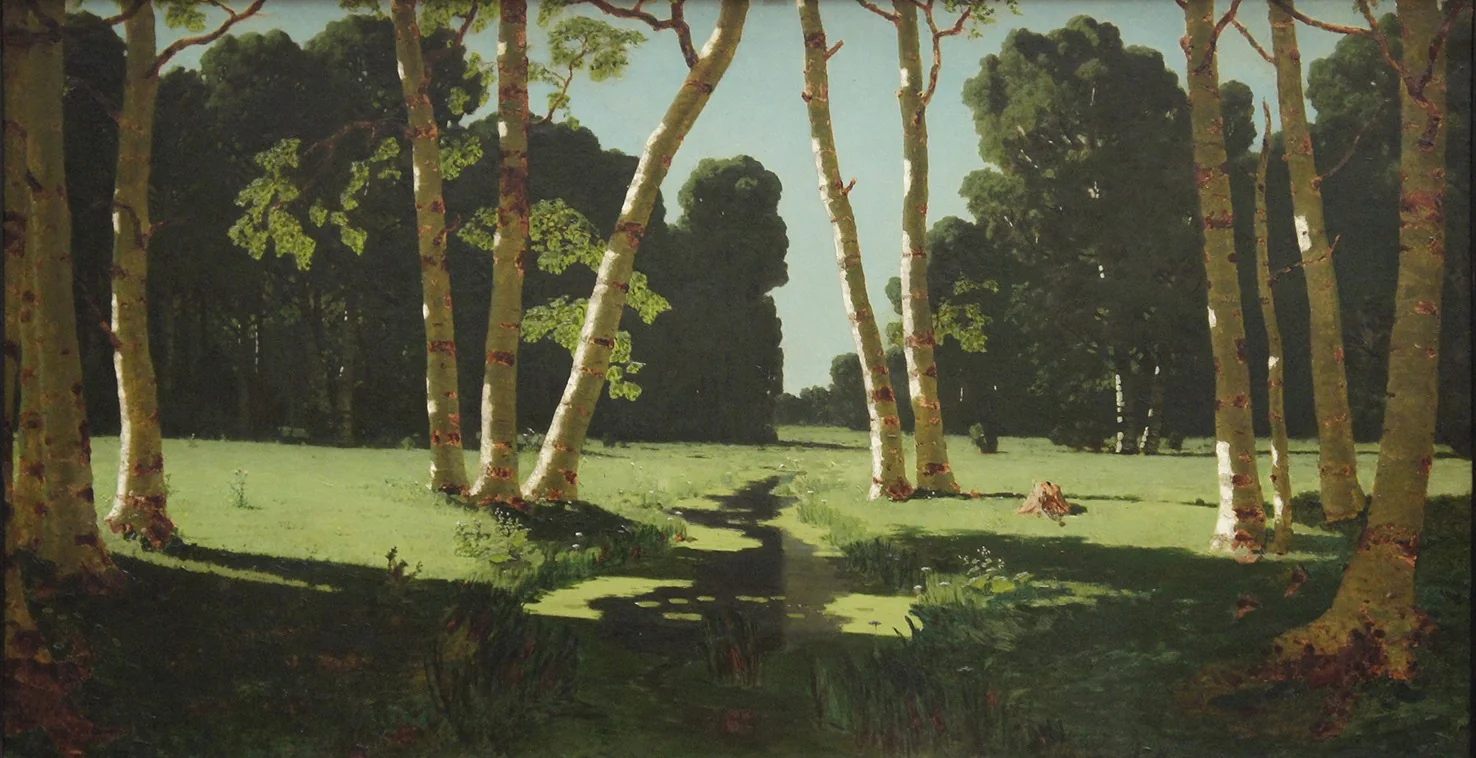 A Birch Grove