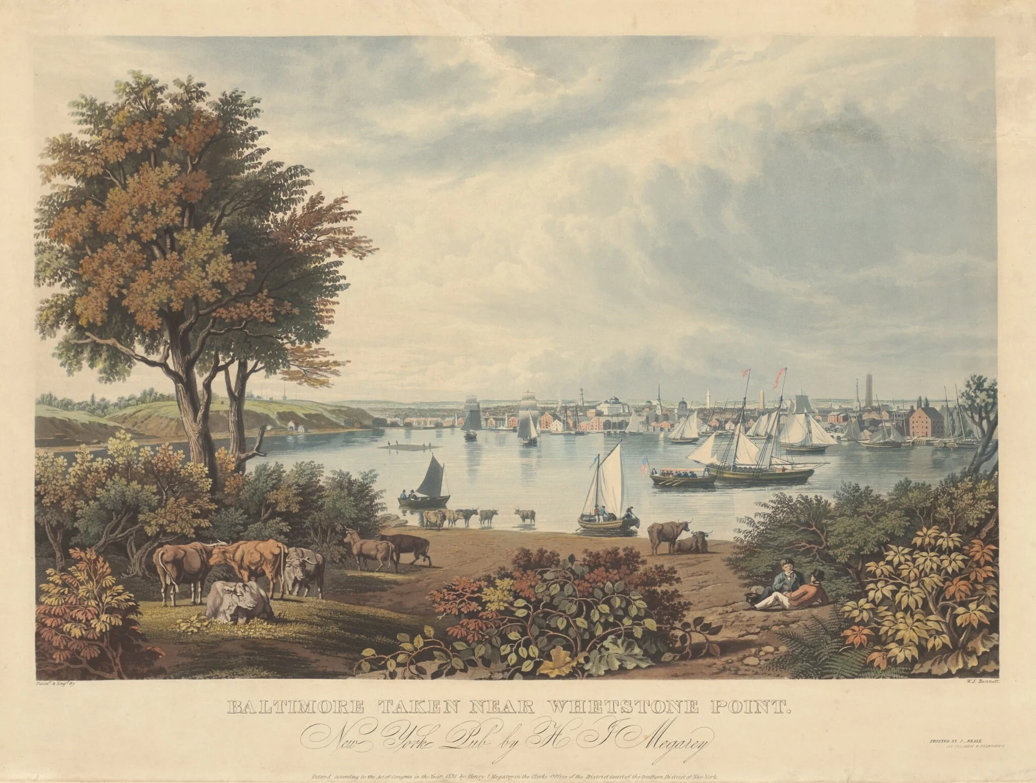 Baltimore Taken near Whetstone Point