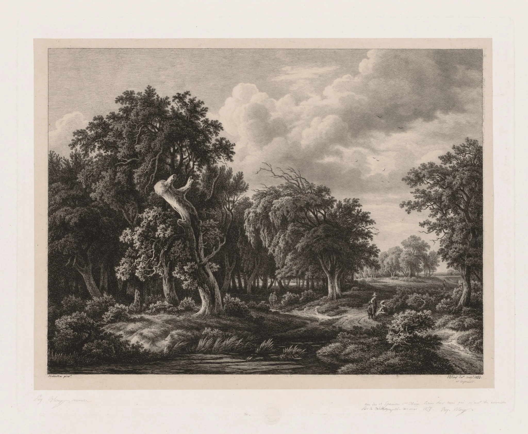Groups of Various Plants Drawn After Nature:  No. 7, by Eugène Blery, 1855