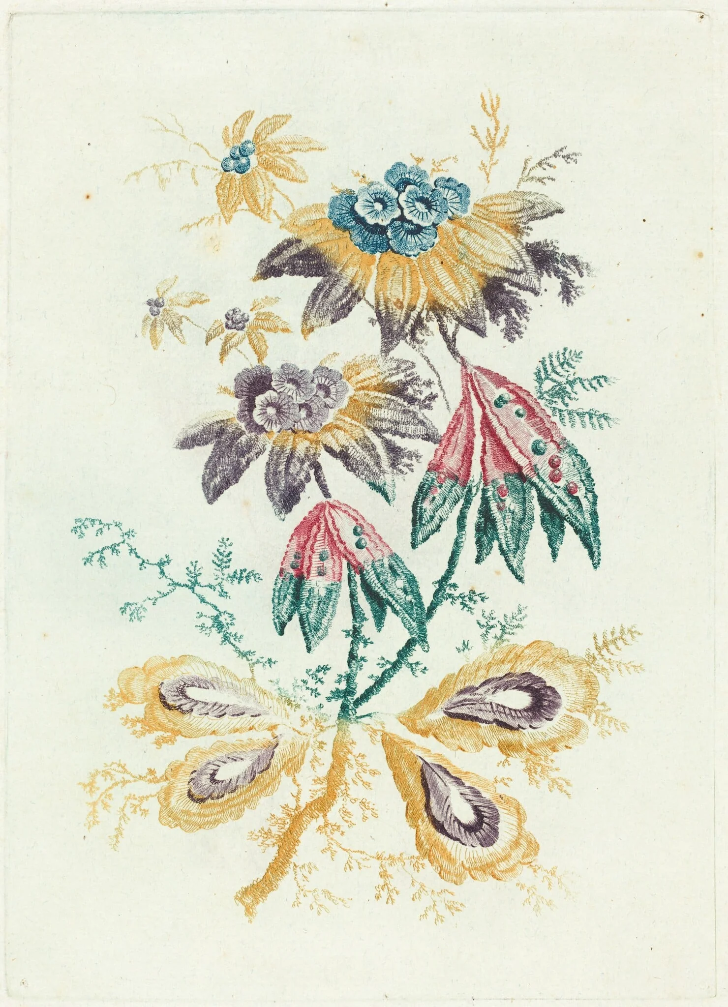 Fantastic Flowers with Peapod Leaves, by Anne Allen, ink, 1795