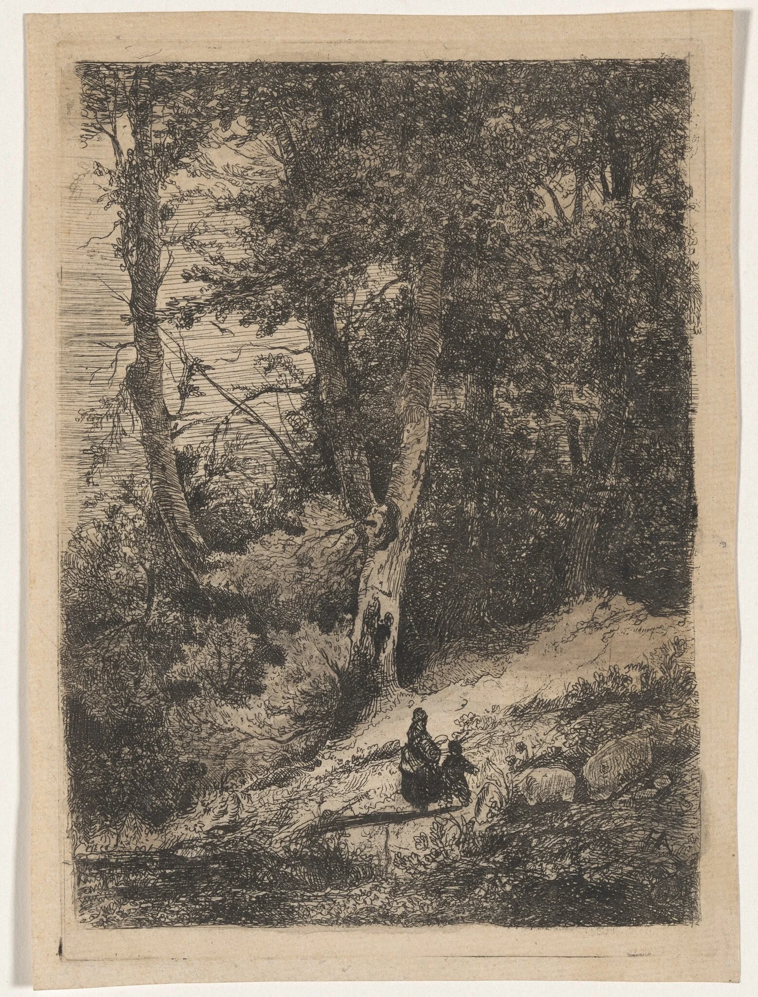 The Inner Forest (Intérieur du bois), by Louis Hector François Allemand, ink, 1855