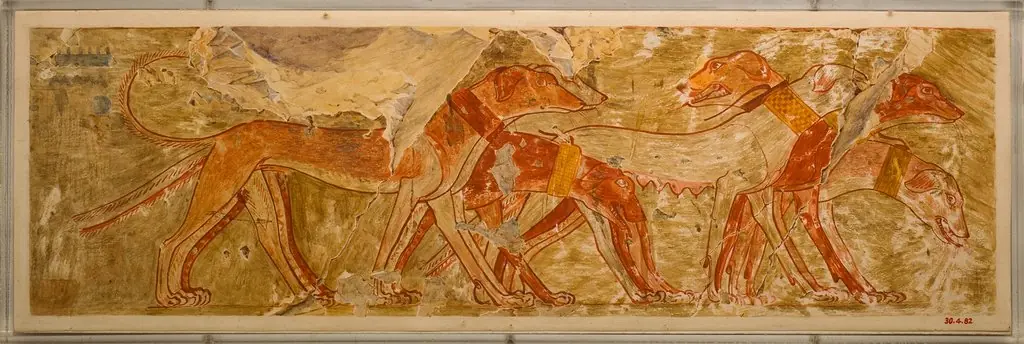 Hounds from Nubia, Tomb of Rekhmire