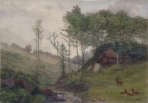 Rocky dingle with stream and deer