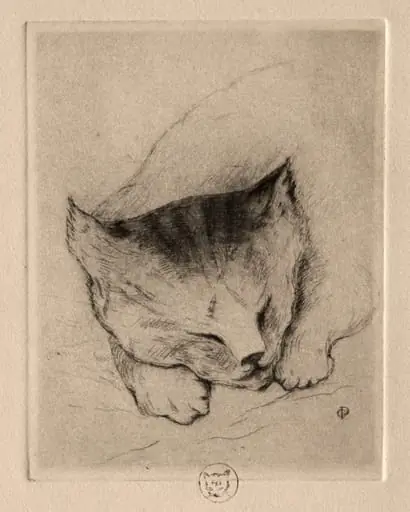 Six Etchings: Head of a Kitten