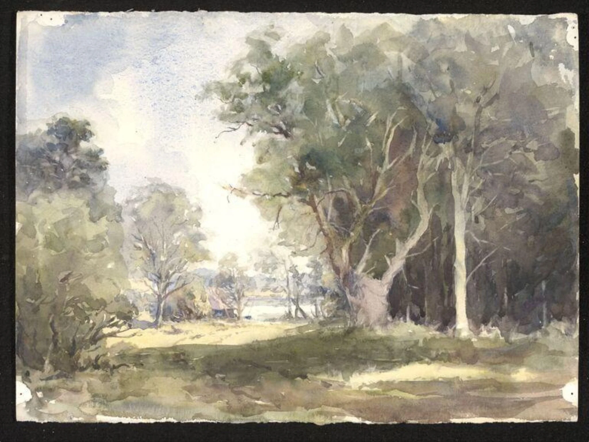 A Road through a wood, by Audrey Penn, watercolor, 1975
