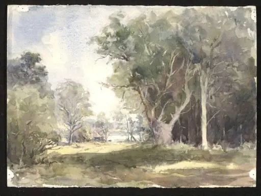 A Road through a wood