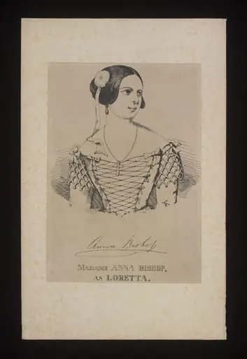 H Beard Print Collection