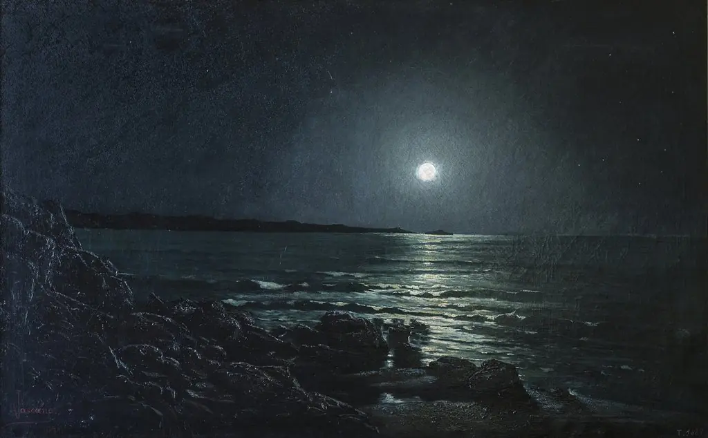 A Night at the Sea