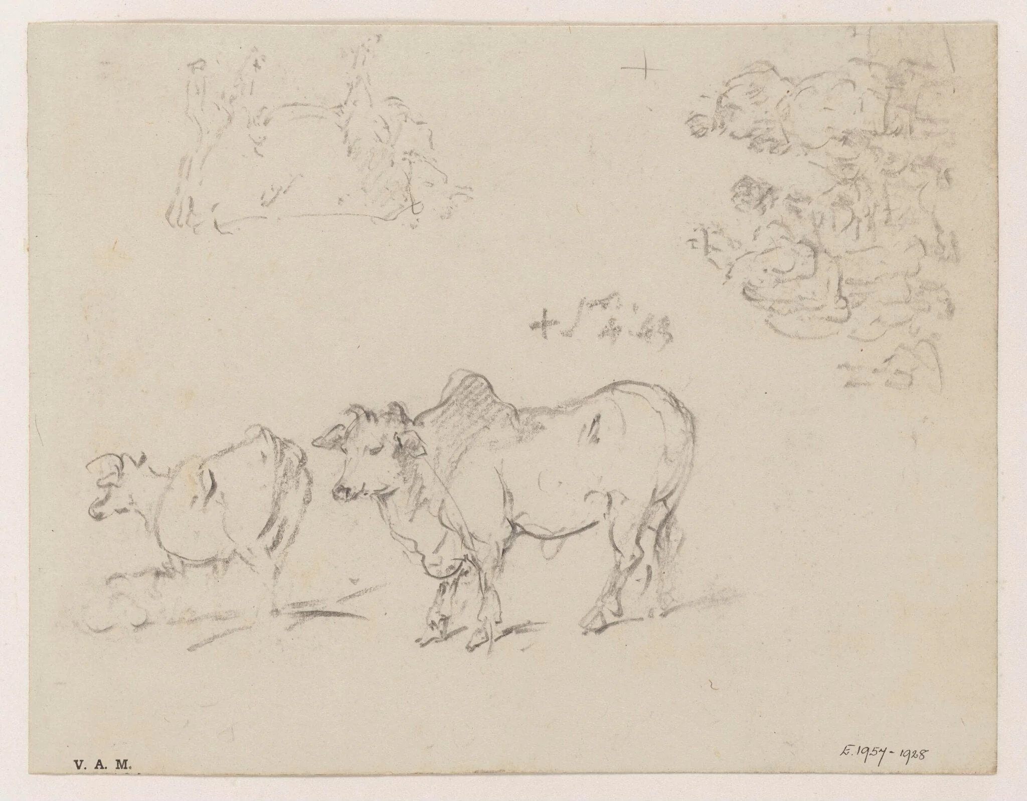 Cattle, and a group of figures