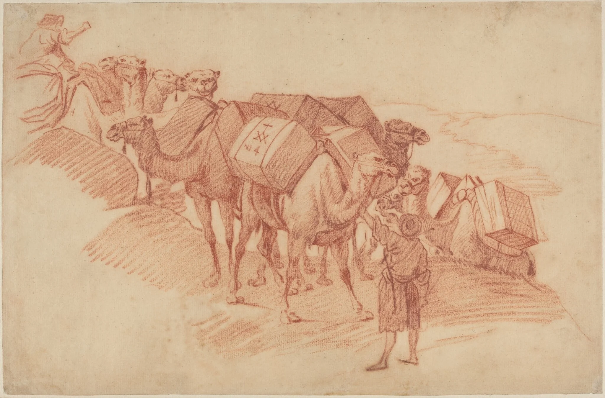 Camel Caravan, by French 18th Century, chalk, 1750
