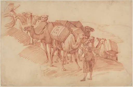 Camel Caravan