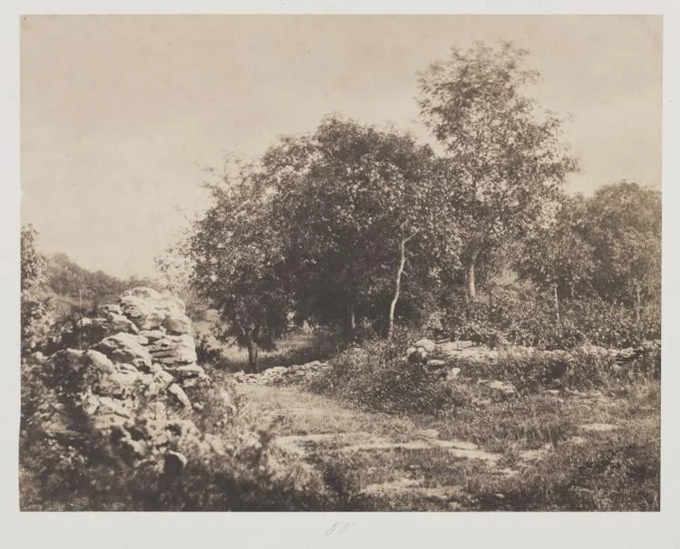 Untitled (Scene of Fontainebleau)