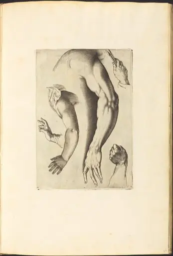 Print from Drawing Book