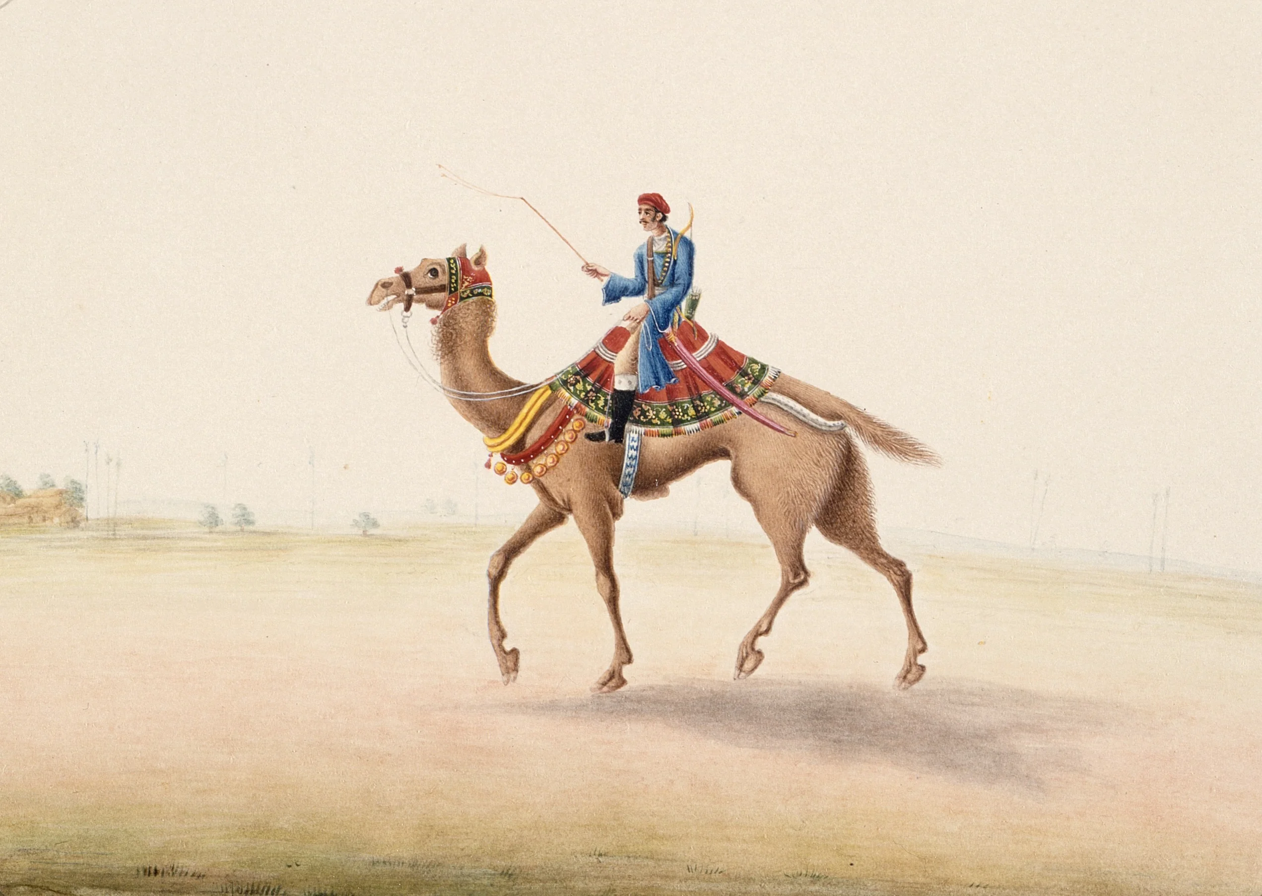 Camel Rider
