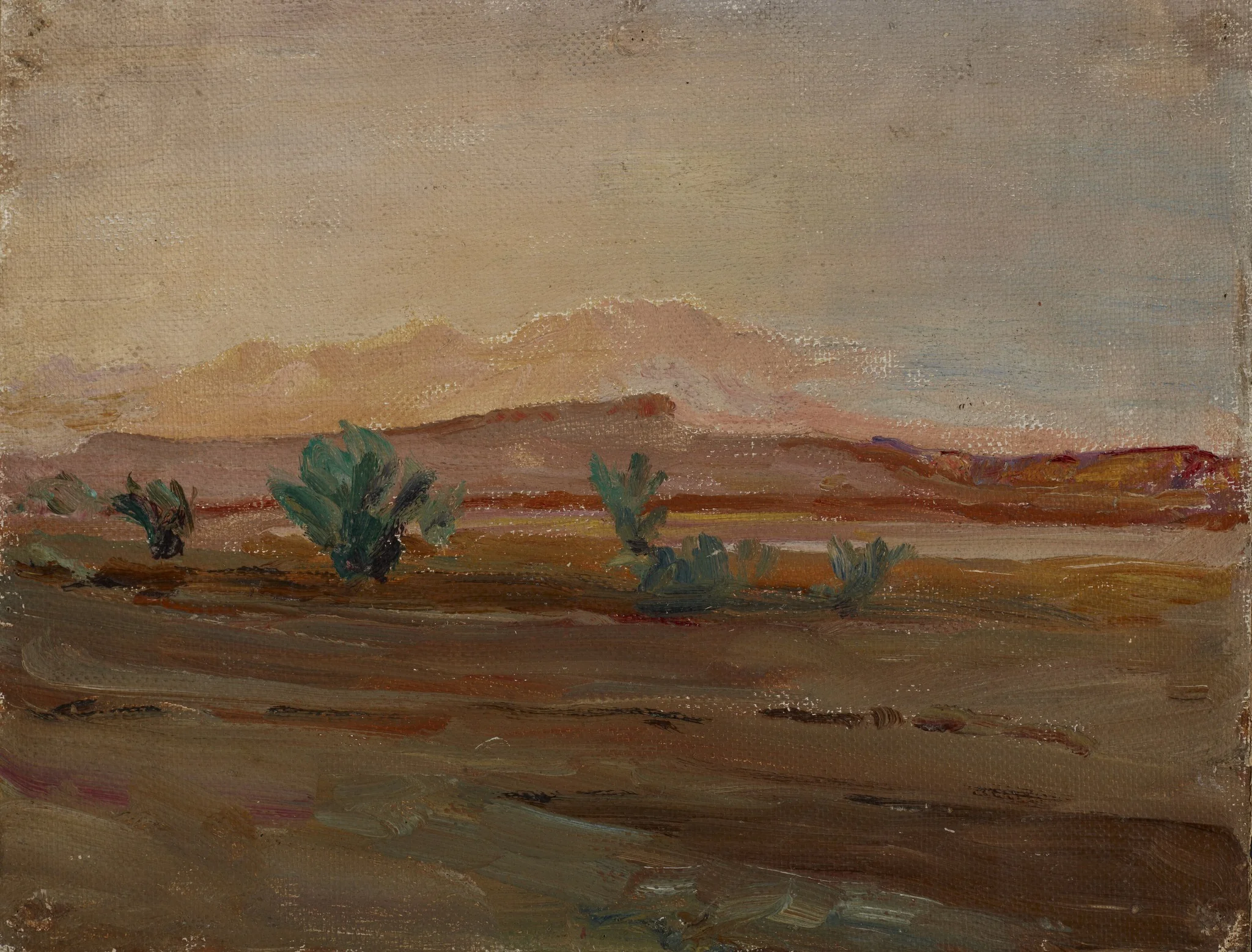 Sahara (Desert after a Rain), by Jan Ciągliński, oil, 1909