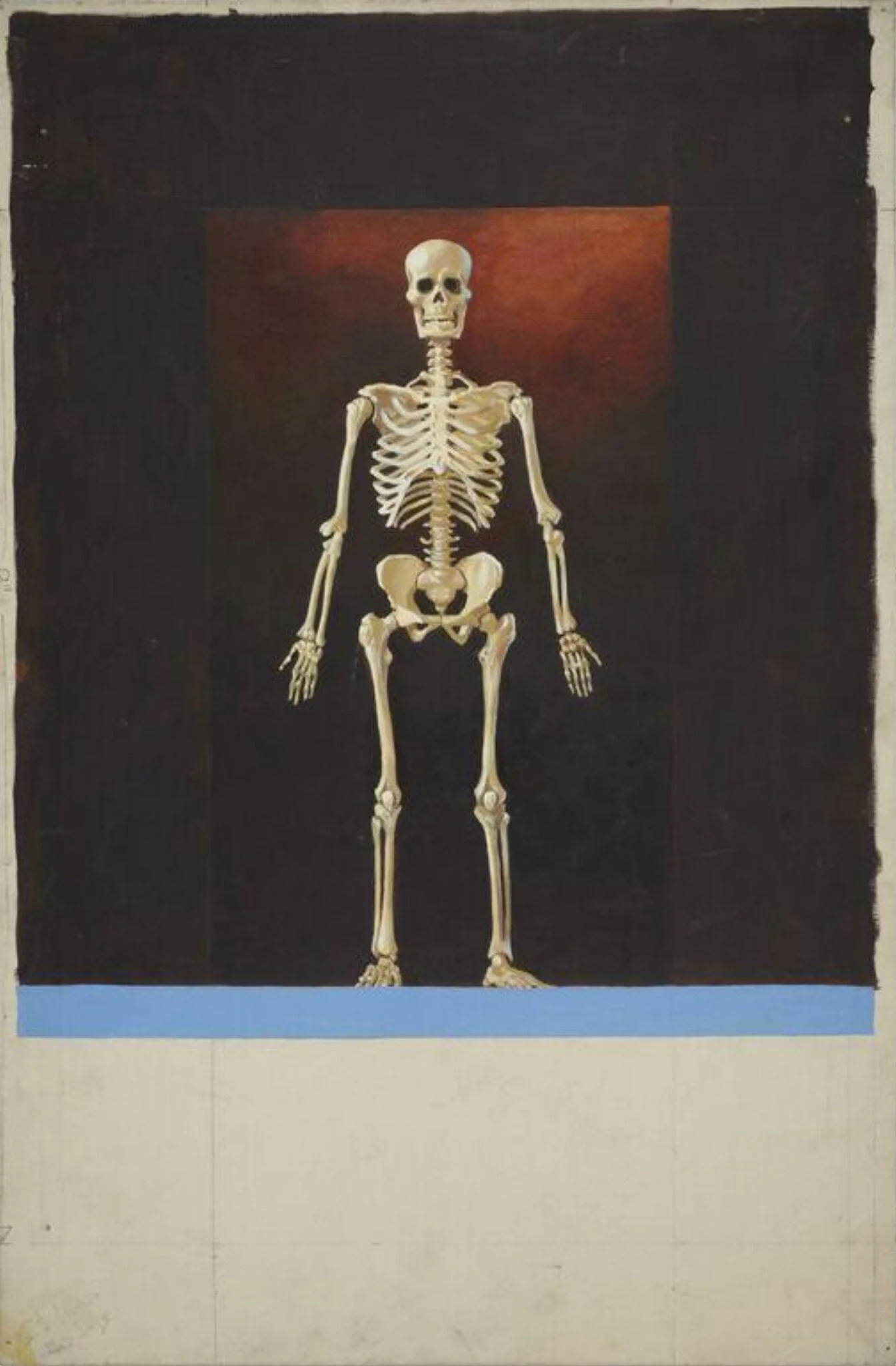 skeleton