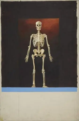 skeleton