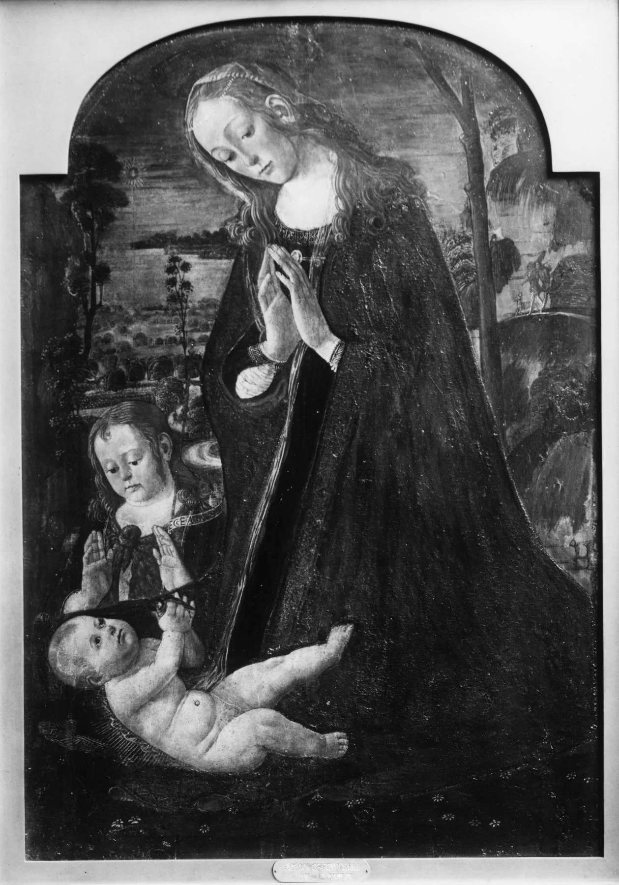 Madonna Adoring the Child, by Jacopo da Sellaio, oil, 1496