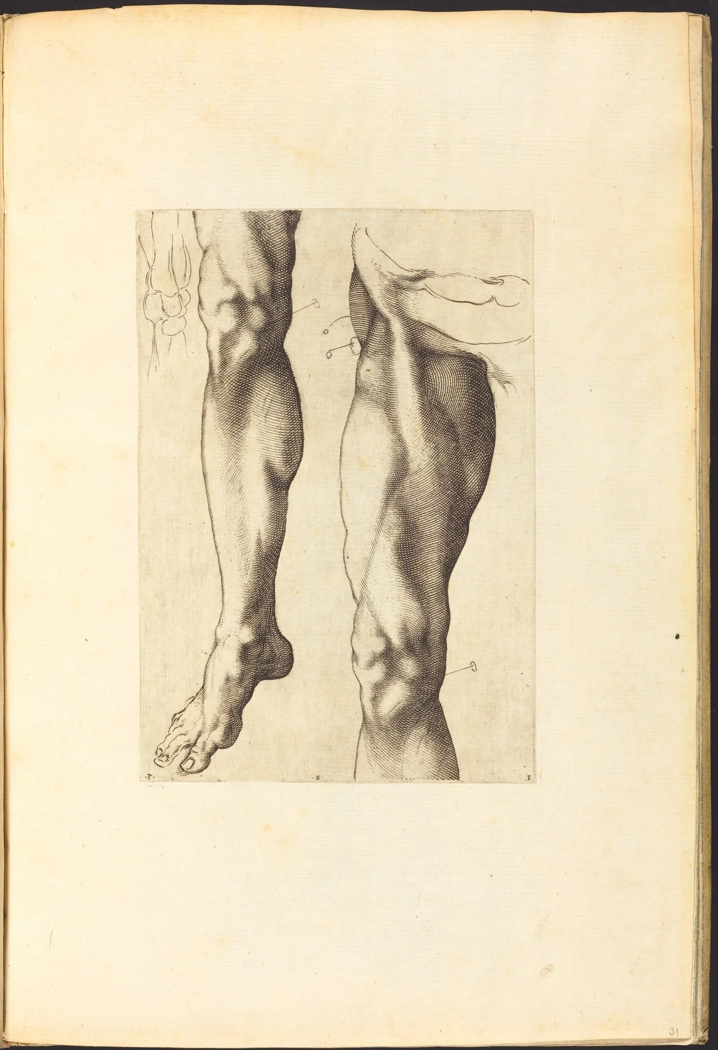 Print from Drawing Book, by Luca Ciamberlano, ink, 1615