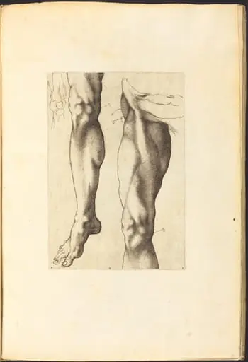 Print from Drawing Book