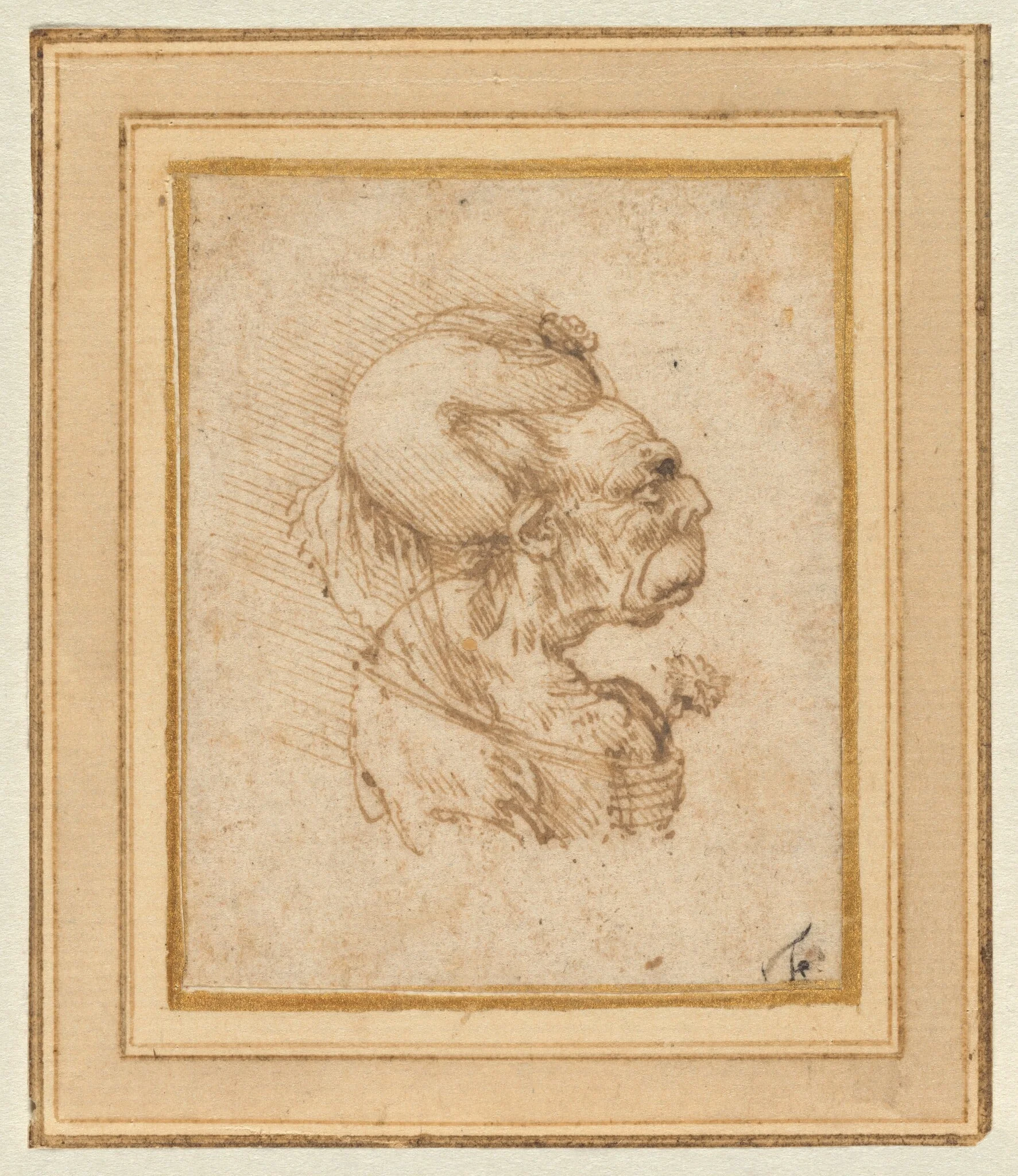 Grotesque Head of an Old Woman, by Leonardo da Vinci, ink, 1490