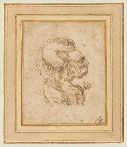 Grotesque Head of an Old Woman