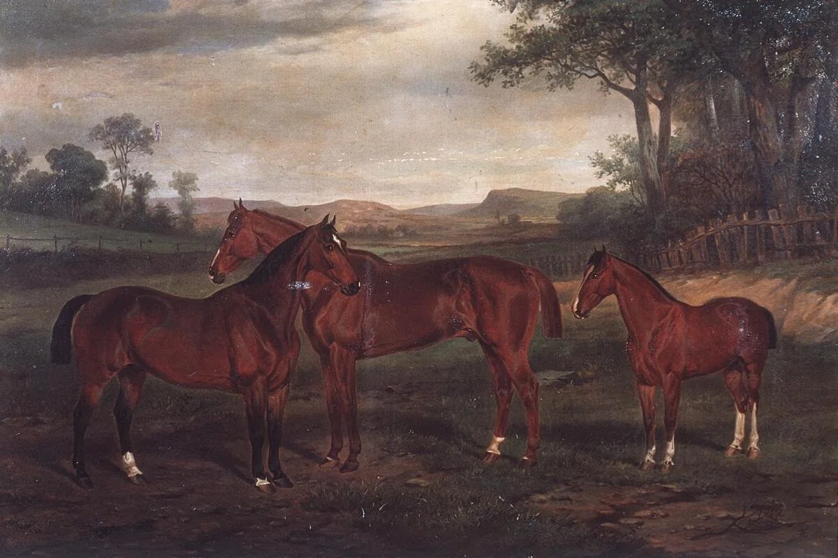 Sam, Bowler and Farmer 1860, by Unknown, oil, 1864