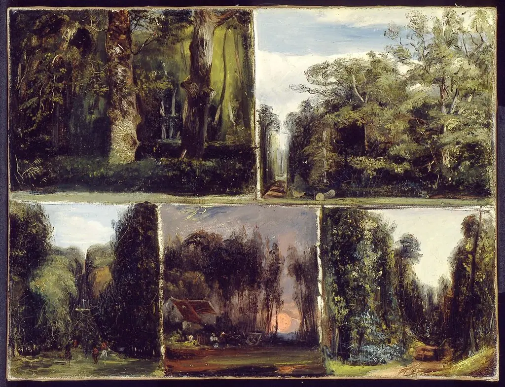 Forêt de Compiègne