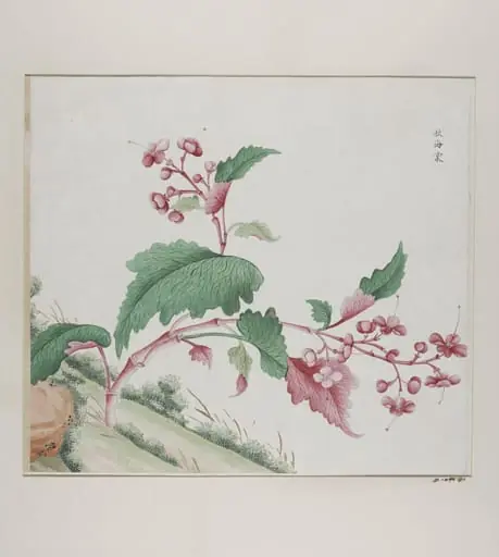 Qiu hai tang