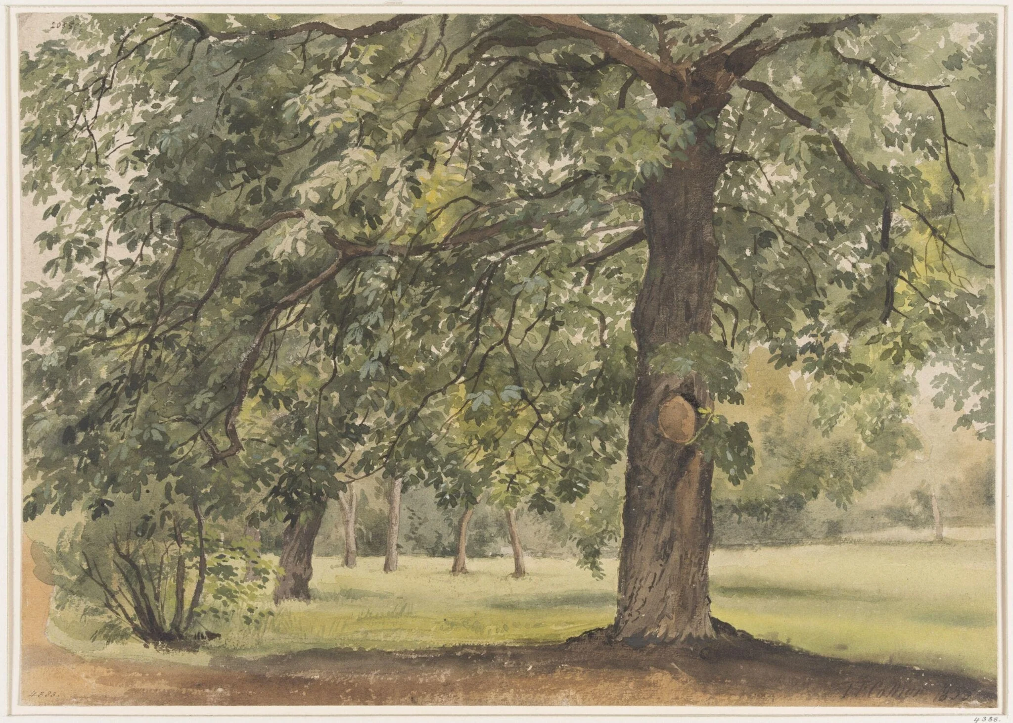 Landscape with Chestnut Tree in the foreground
