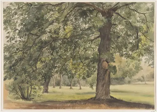 Landscape with Chestnut Tree in the foreground