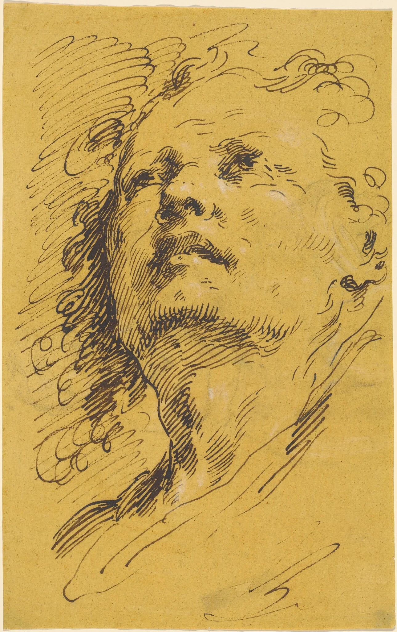 Head of a Man Looking Up, by Pietro Antonio Novelli, ink, 1774