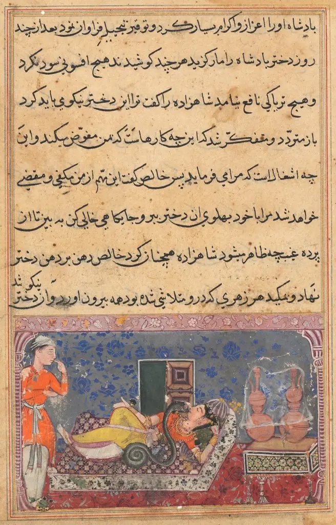 Khalis repays the prince for his kindness by changing into a snake and sucking the poison from the king’s daughter, from a Tuti-nama (Tales of a Parrot): Eighteenth Night