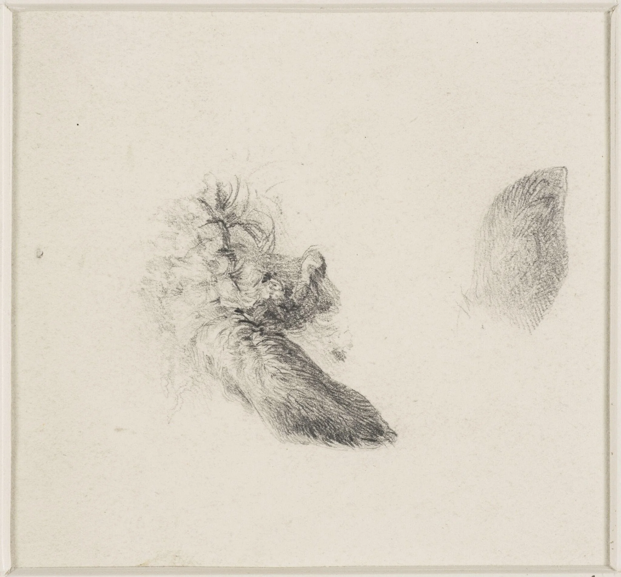 Studies of animals' ears, by Thomas Sidney Cooper, 1850