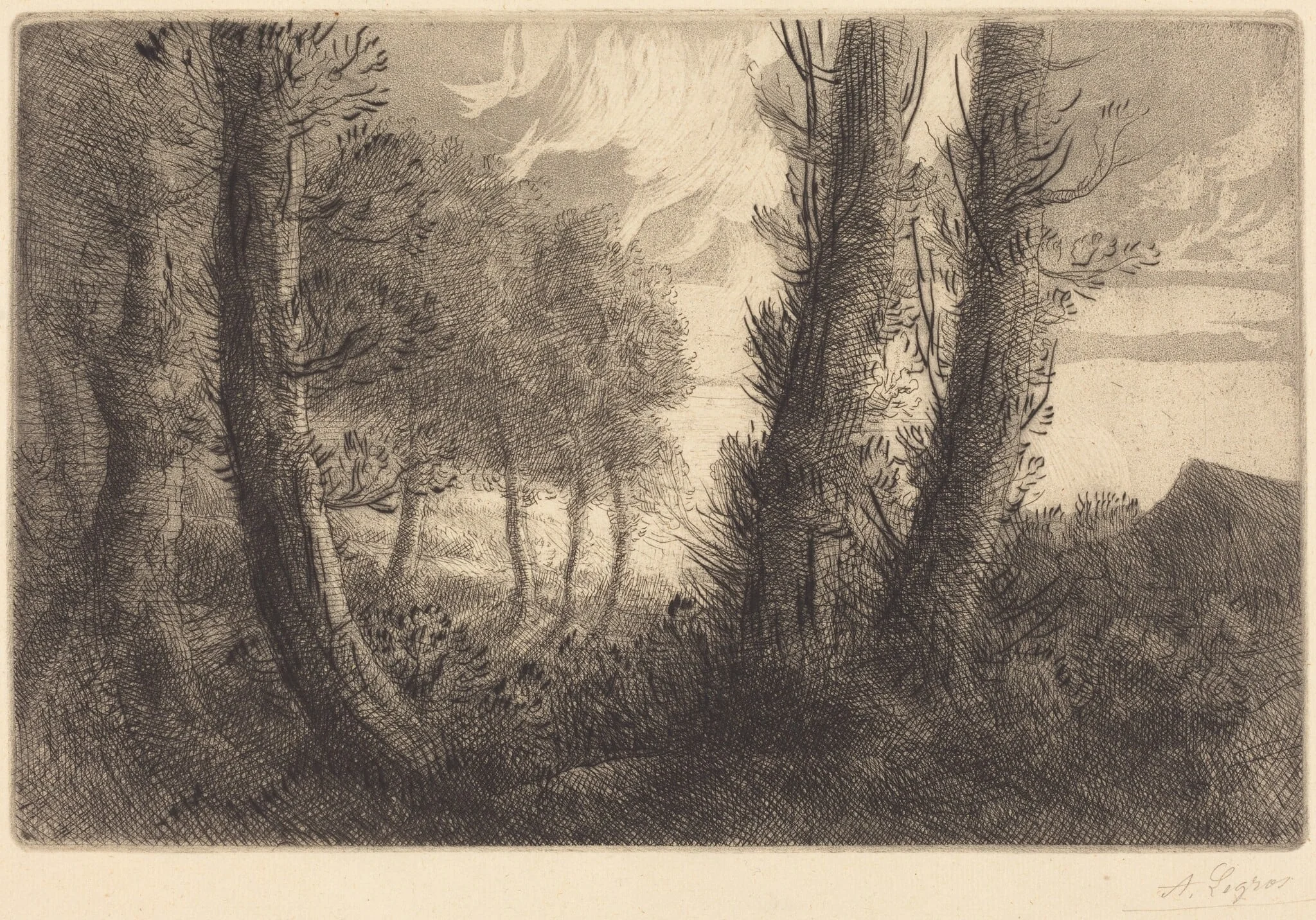 Landscape (Paysage)