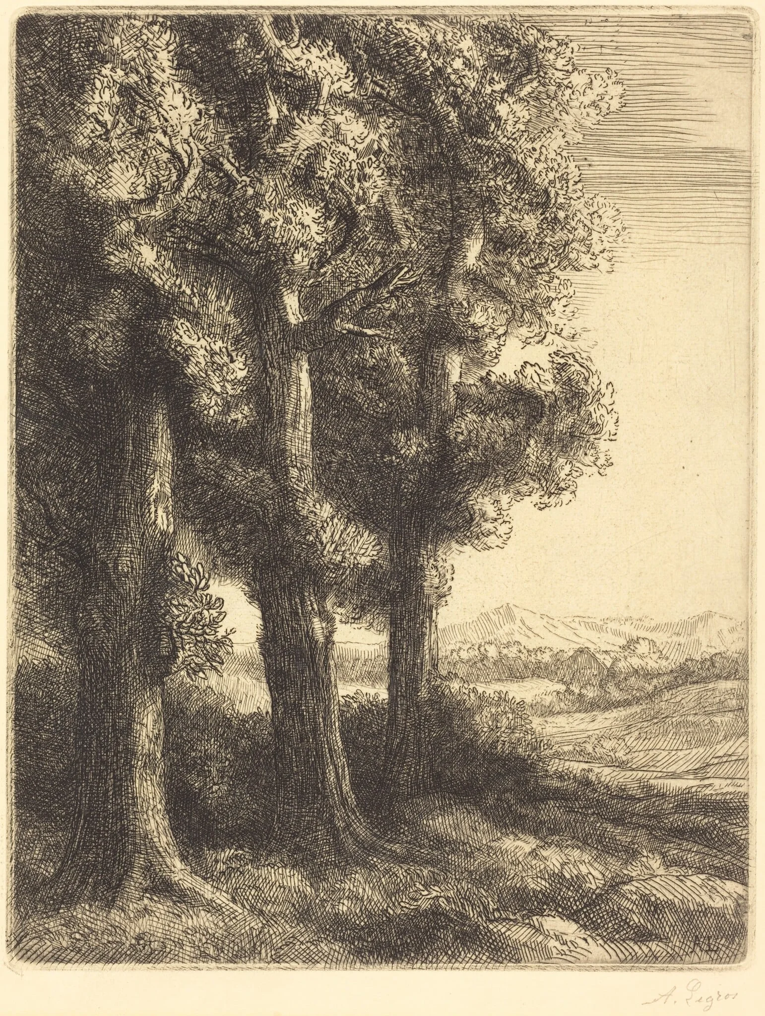 Corner of a Wood (Coin d'un bois)