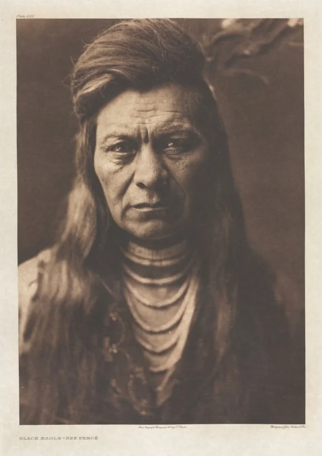 Portfolio VIII, Plate 265: Black Eagle - Nez Percé, by Edward S. Curtis, 1905